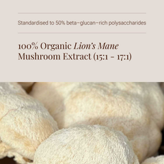 Image 4 for Organic Lion's Mane Extract Tincture - 50ml