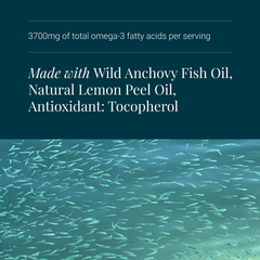 Image 4 for Omega 3 Fish Oil - 125ml