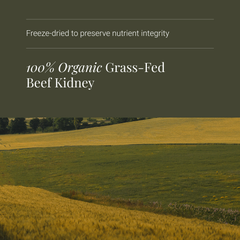 Image 4 for Organic Beef Kidney - 180 Vegicaps