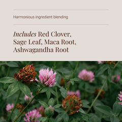 Image 4 for Menopause Blend - 60 Vegicaps