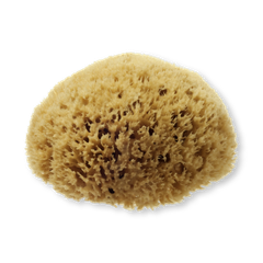 Image 1 for Natural Sea Sponge for Bathing
