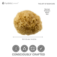 Image 3 for Natural Sea Sponge for Bathing