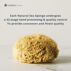 Image 4 for Natural Sea Sponge for Bathing