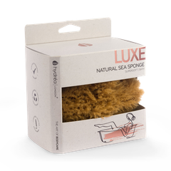 Image 1 for Natural Sea Sponge For Bathing 5-5.5 Inches