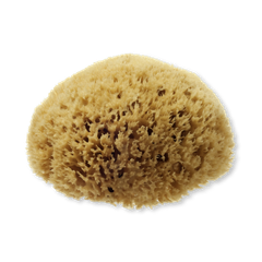Image 2 for Natural Sea Sponge For Bathing 5-5.5 Inches
