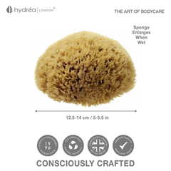 Image 3 for Natural Sea Sponge For Bathing 5-5.5 Inches