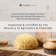 Image 4 for Natural Sea Sponge For Bathing 5.5 - 6  Inches
