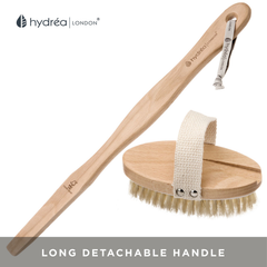 Image 4 for Classic Natural Bristle Body Brush