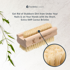 Image 2 for Extra Tough Hand & Nail Brush with Cactus Bristle