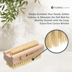 Image 3 for Extra Tough Hand & Nail Brush with Cactus Bristle