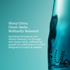 Image 4 for Anti-Fatigue Functional Aromatherapy Room Spray