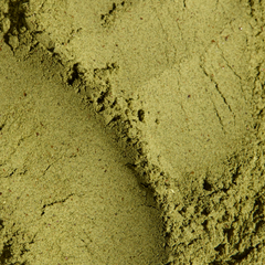 Image 4 for Greens Superfood Blend Mango 150 g