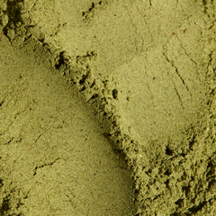 Image 4 for Greens Superfood Blend Mango 7 Sachets