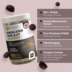 Image 4 for Himalayan Shilajit Gummies 3000mg with KSM-66 Ashwagandha, Vitamin B6 & B12 – 60 Vegan Gummies – Energy & Vitality Support for Men & Women – Blackcurrant Flavour – Prowise