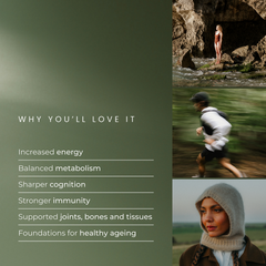 Image 4 for Daily Vitals Essential Longevity & Cellular Health Complex 90 Capsules