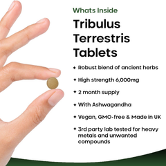 Image 3 for Tribulus Terrestris Tablets 120s