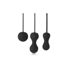Image 2 for Ami Kegel Training Set