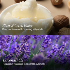 Image 4 for Renewal Night Cream 50ml