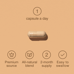 Image 5 for Korean Panax Ginseng with Ginkgo Biloba 60 Capsules