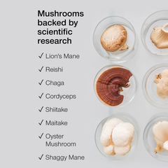 Image 4 for 8 Mushroom Complex with Ashwagandha KSM-66 Vegan 60 Capsules