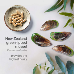 Image 4 for Green Lipped Mussel New Zealand 1000mg 90 Capsules