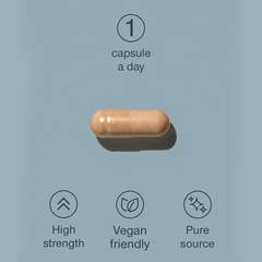 Image 5 for Sea Moss Wildcrafted North Atlantic 30 Capsules