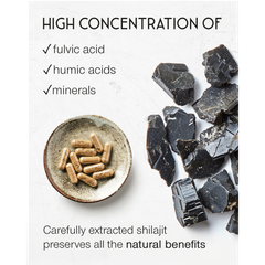 Image 4 for Himalayan Shilajit 60 Capsules