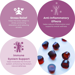 Image 2 for 4 Mushroom Complex Berry 8000 mg 60 Gummies
