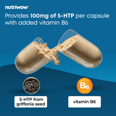 Image 4 for 5HTP Capsules - High Strength 5-HTP 100mg from Griffonia Seed Complex - 120 Vegan Capsules