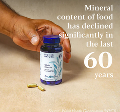 Image 2 for True Food® Whole Minerals - 9 Natural Source Minerals - 60 Vegan Capsules