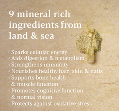 Image 3 for True Food® Whole Minerals - 9 Natural Source Minerals - 60 Vegan Capsules