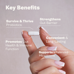 Image 4 for Spore Probiotic (Bacillus Subtilis HU58®, Coagulans SC208 & Clausii UBBC-07) 4 billion CFU count - 60 Capsules