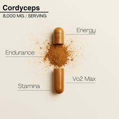 Image 3 for Mission C Cordyceps Capsules 8000mg with Vitamin B5 60 Vegan Capsules