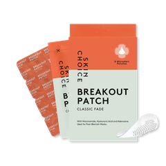 Image 1 for Breakout Patch Classic Fade
