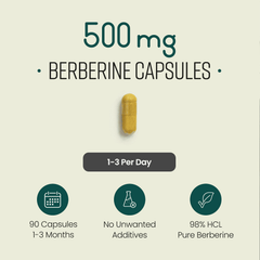 Image 3 for Berberine HCL 98% - 1500mg per Serving - 90 Capsules