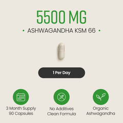 Image 3 for Ashwagandha KSM-66 - 5500mg Root Equivalent per Capsule - 90 Vegan Capsules