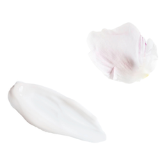 Image 2 for Delicate Face Cream 50ml
