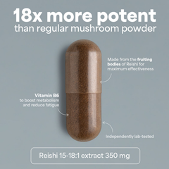 Image 2 for SOOO calm: Reishi extract 15-18:1 90 Capsules