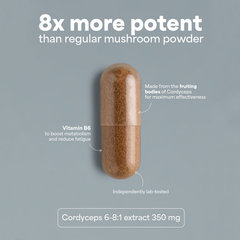 Image 3 for SOOO energetic: Cordyceps extract 6-8:1 90 Capsules