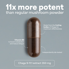 Image 3 for SOOO immune: Chaga extract 9-11:1 90 Capsules