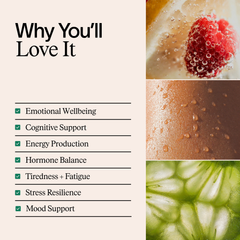 Image 2 for Enhanced Nootropics 60 Capsules