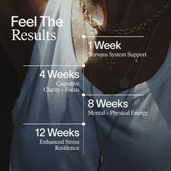 Image 5 for Enhanced Nootropics 60 Capsules