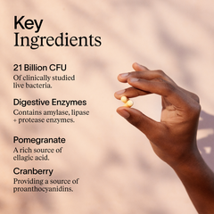 Image 3 for Enhanced Synbiotic 60 Capsules