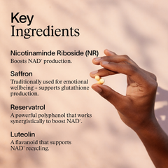 Image 3 for Nad+ 60 Capsules