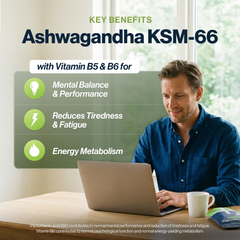 Image 4 for Ashwagandha KSM-66 High Strength 300mg Vitamin B5 & B6, 90 Capsules