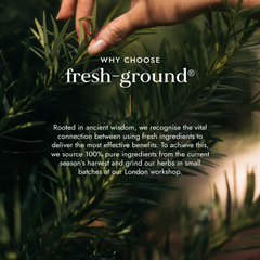 Image 5 for Organic Chaste Tree (Agnus Castus)