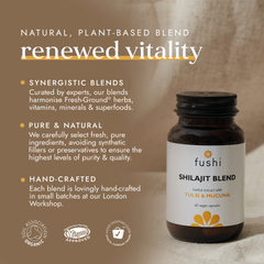 Image 1 for Shilajit Blend
