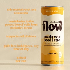 Image 3 for Mindfuel Flow Reishi Mushroom Oat Latte Banoffee 250ml