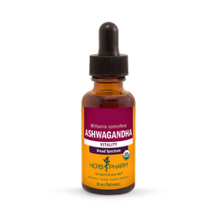 Image 1 for Echinacea, Alcohol-Free 30ml Organic