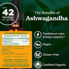 Image 3 for Echinacea, Alcohol-Free 30ml Organic